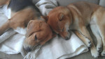 Keiko en Luna