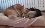 Keiko en Didi