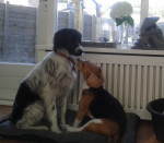 Cooper en Didi